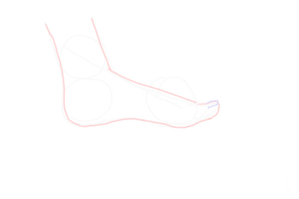 foot sketch