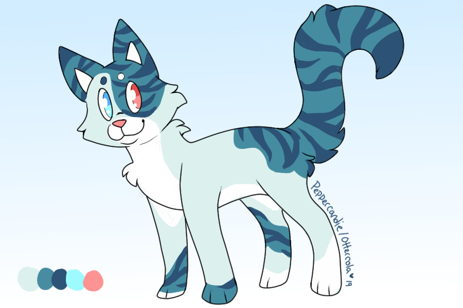 new kid nya