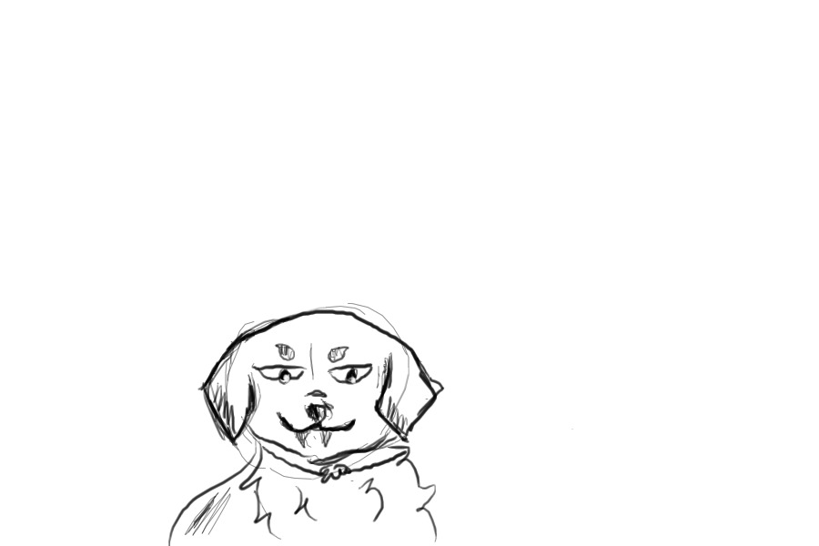 Random sketch
