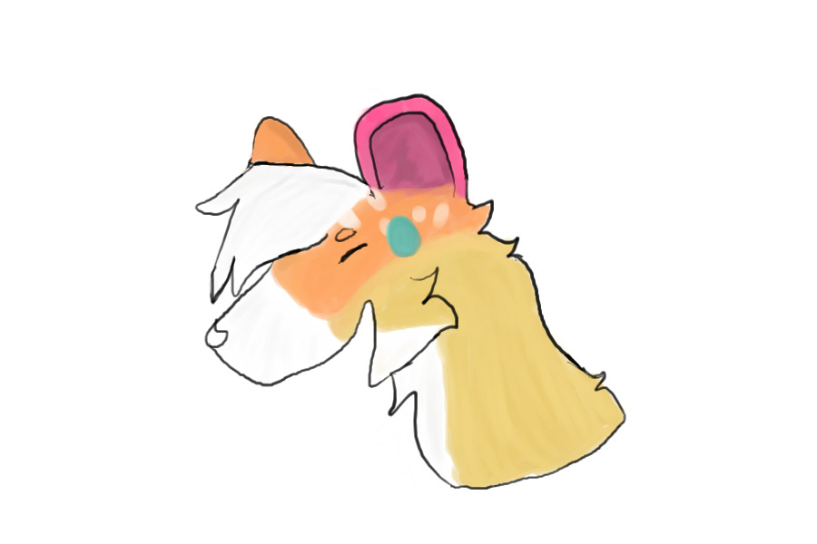 Apricot