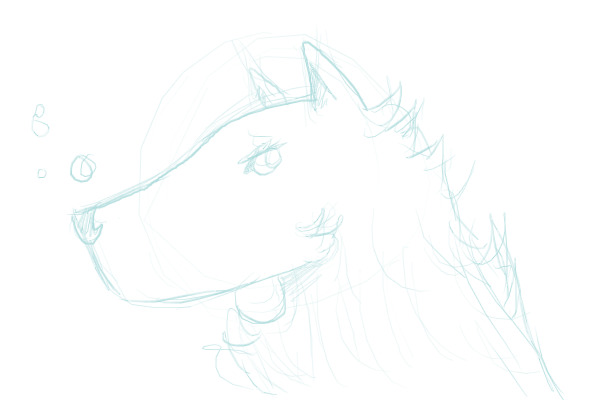 Sketch