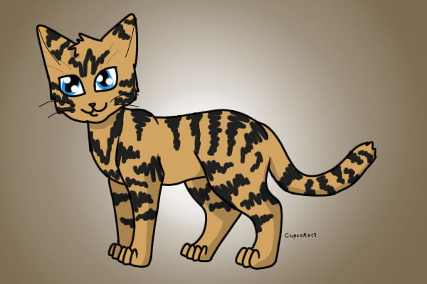 Coloured - Kitty Kat