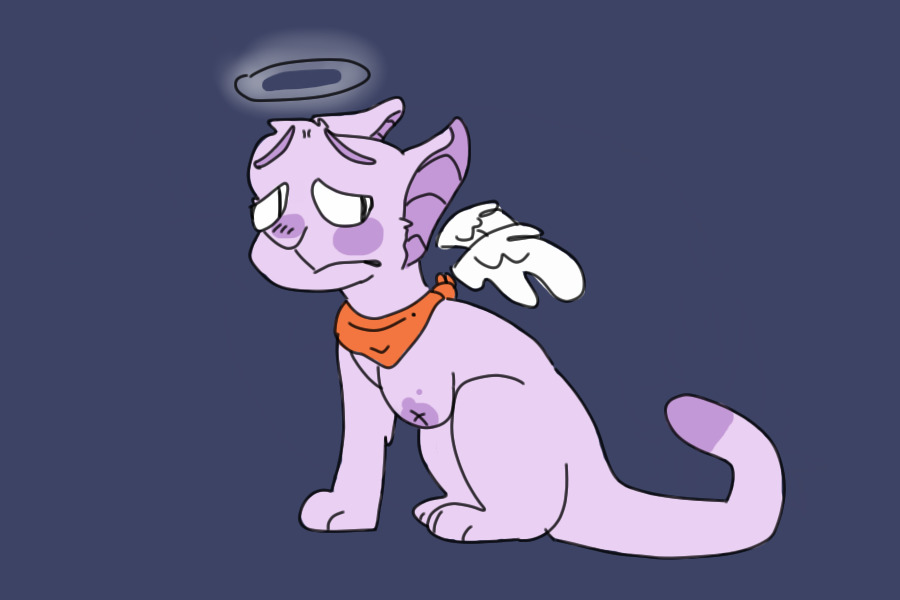 hairless cat angel