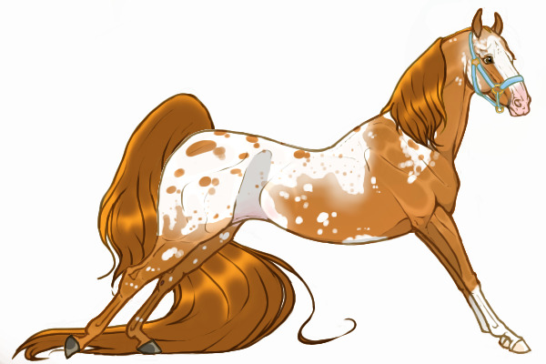 #0071 | Coldwater Creek Walkers