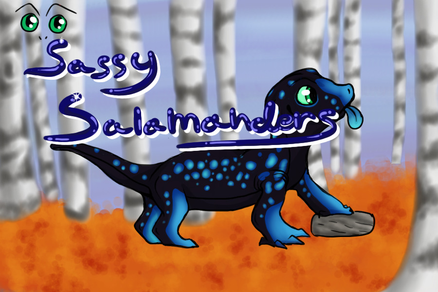 Sassy Salamanders - Open