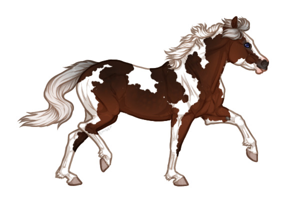 Ferox Welsh Pony #338 - Sooty Silver Bay Tovero