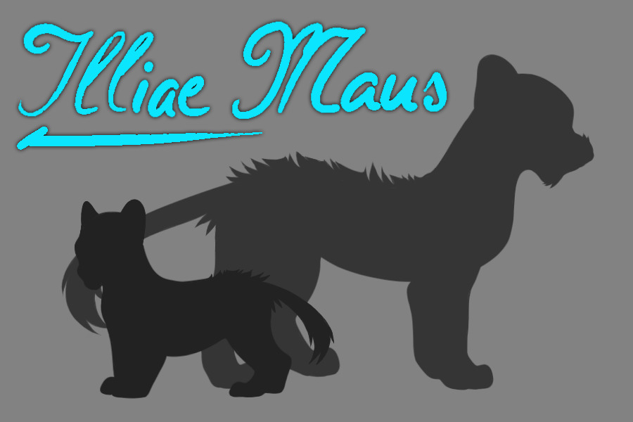 Illiae Maus V2 -- Main Page