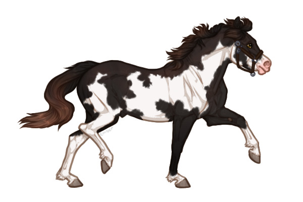 Ferox Welsh Pony #346 - Black Overo