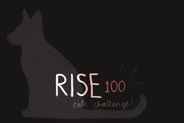 rise | 100 cats challenge