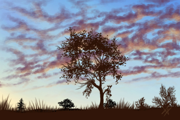 wIP- nebraska sunset
