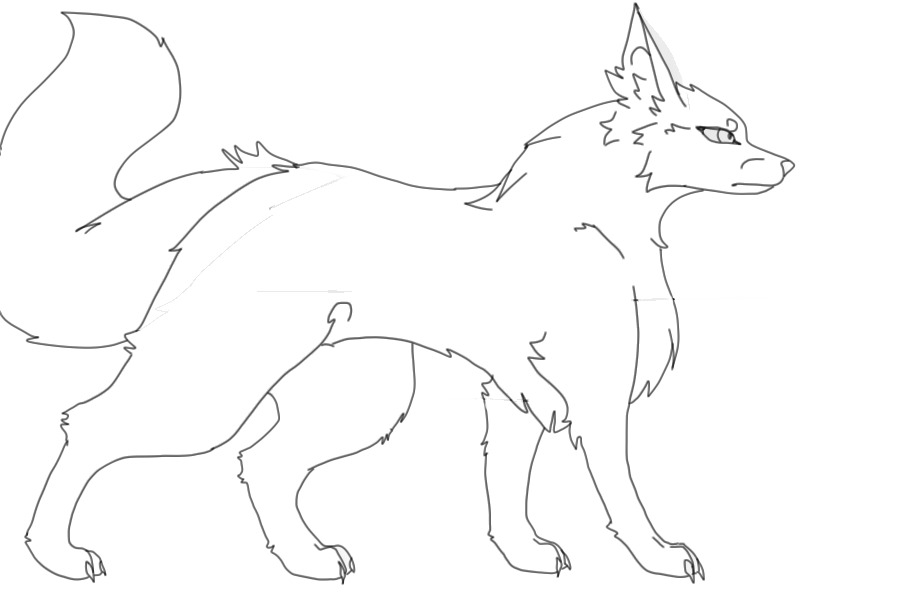 wolf fox