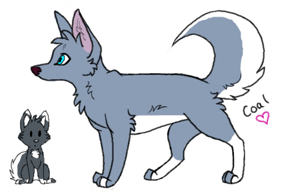 Lil' Husky