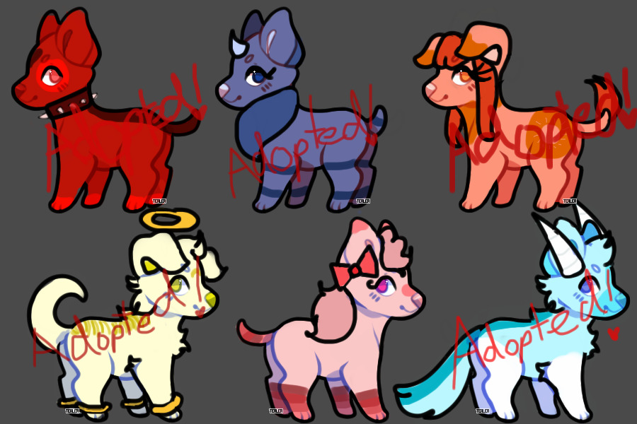 OPEN [1/6] PUPPY ADOPTS
