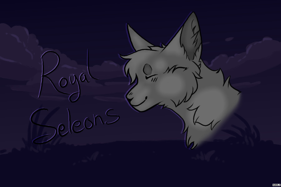 kingdom of seleons | canine arpg | marking open