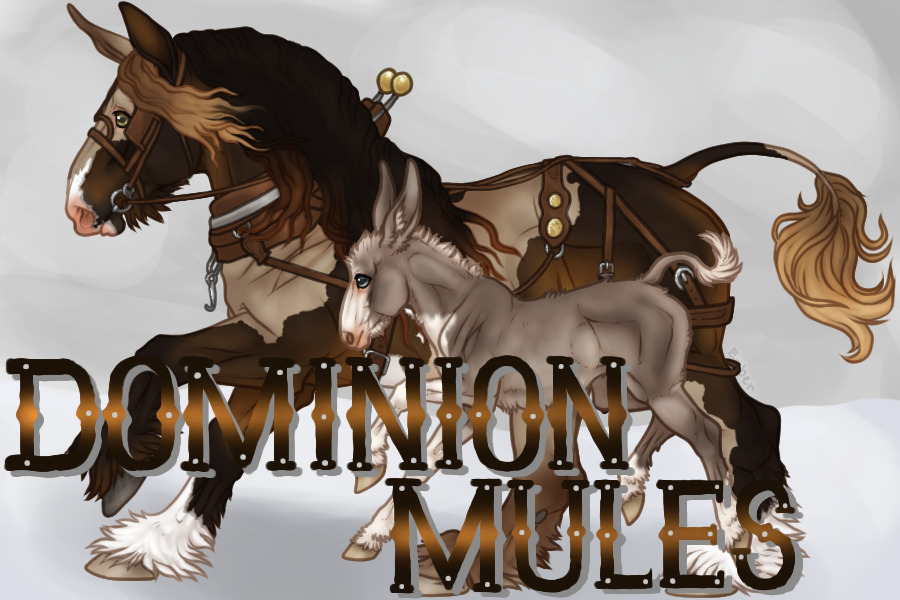 Dominion Draft Mules Marking welcome