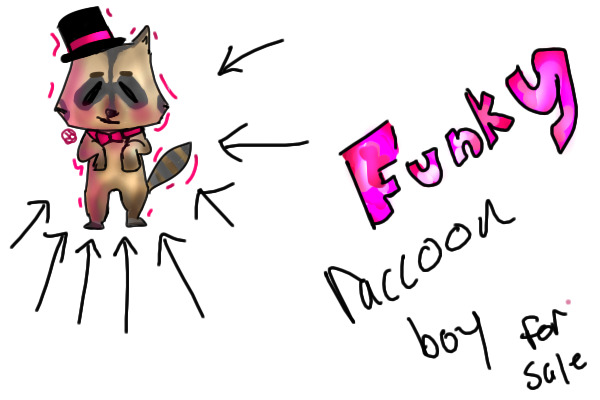 cheap funky raccoon adoptable