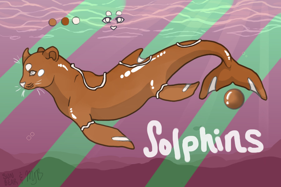 Solphin #8