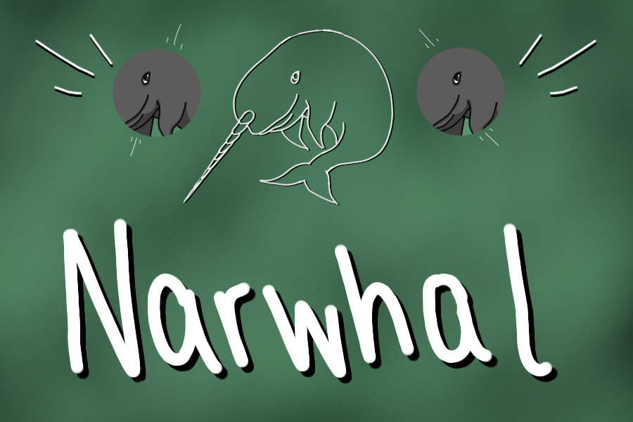 FTU Narwhal Lines