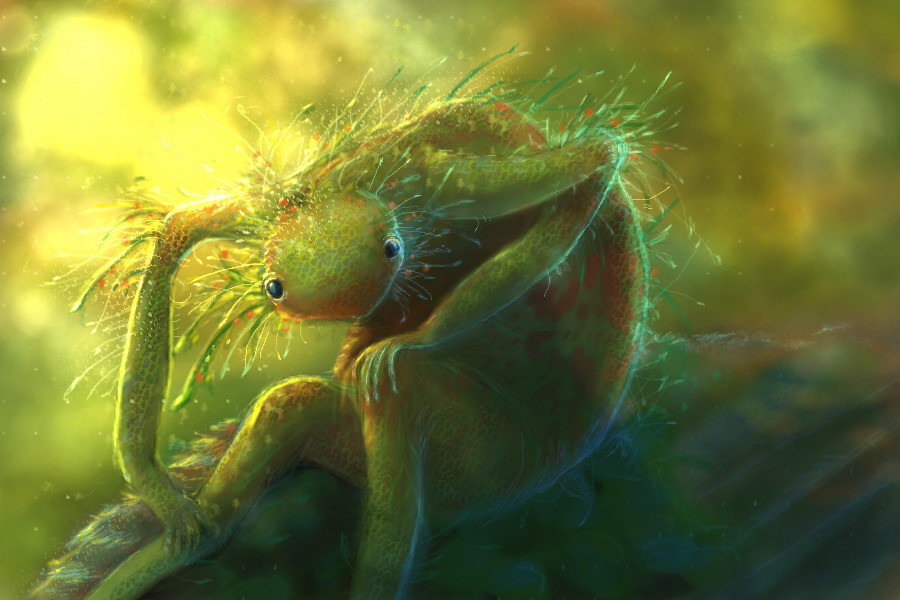 forest critter