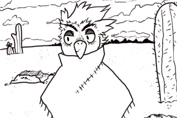 western bird