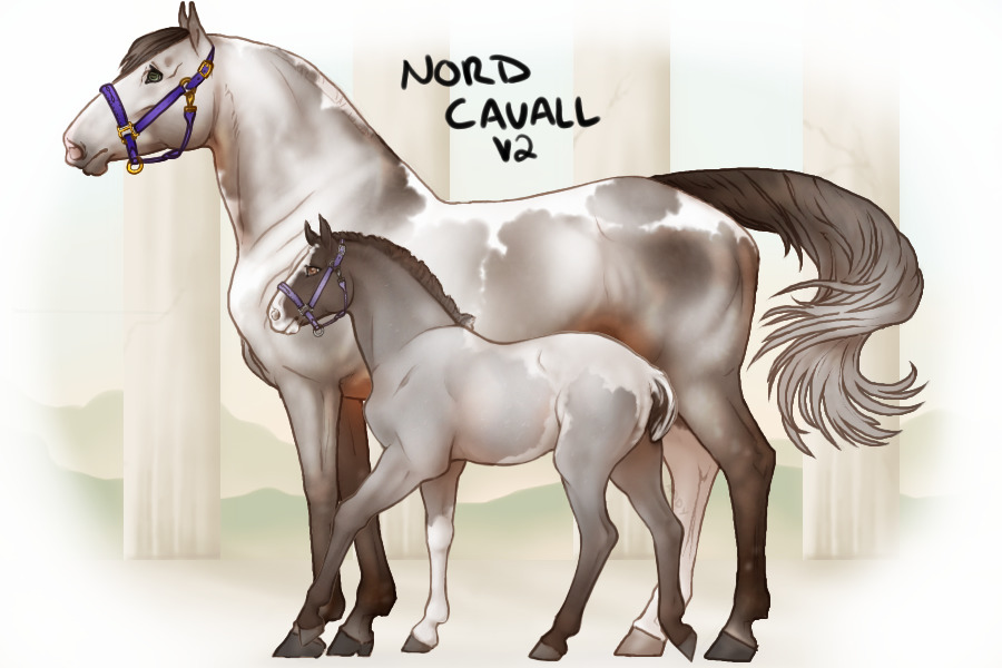 ◈ Nord Cavalls ◈ v2 ◈ SOLD