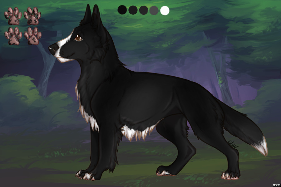 silverspurs kennel entry 1