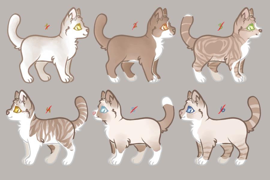 Fawn Cat Adopts - Closed
