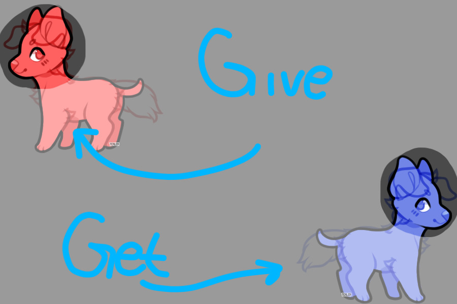 Give and Get!