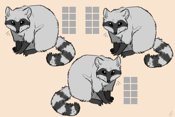 Raccoon adopt lines