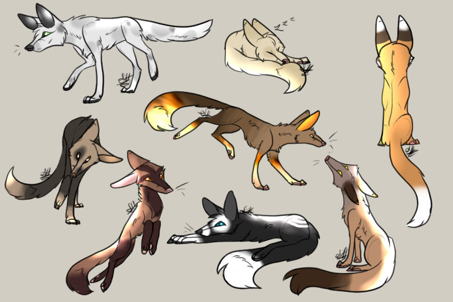 foxies