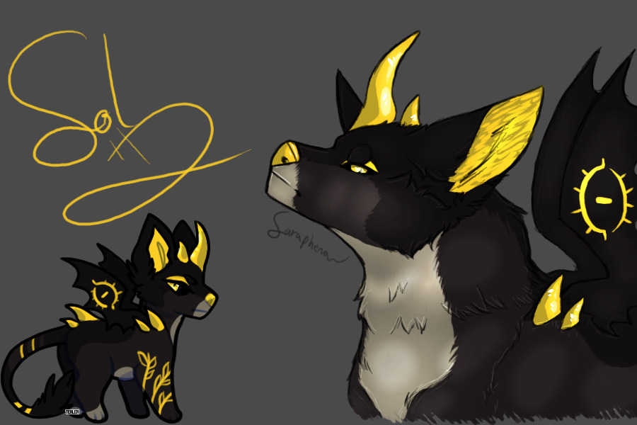 ``i am king`` | sol art