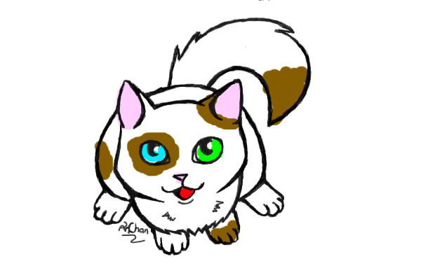 Kitty