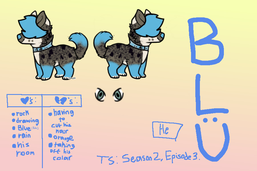 Blu, my new baby!