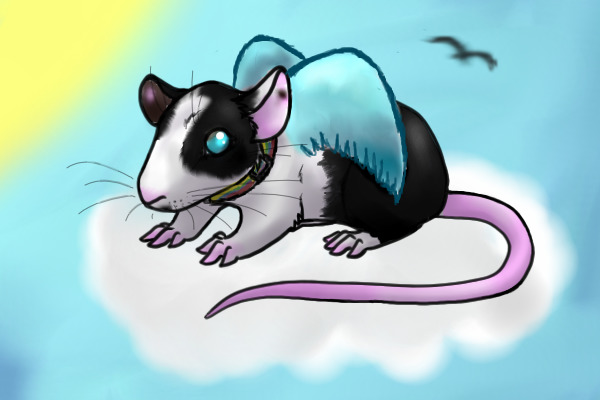 Alex as a rat x3