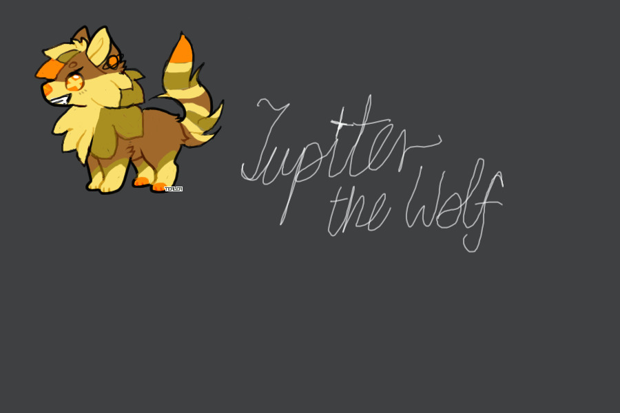 Jupiter the Wolf!