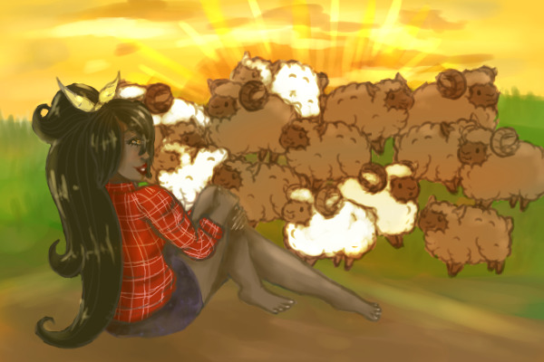 Sheep in the Morning