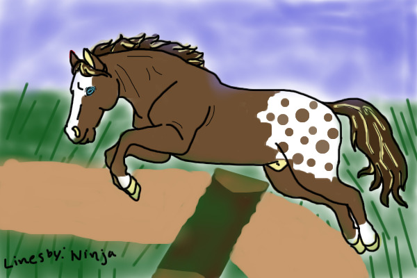 Horse