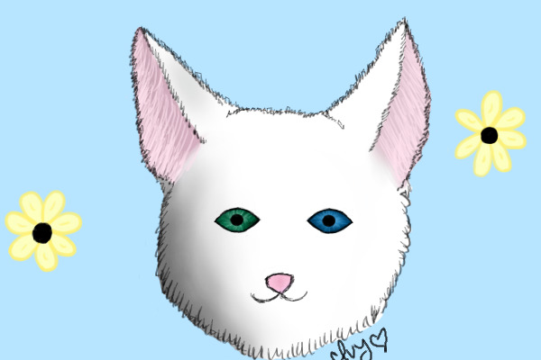(A) White Cat