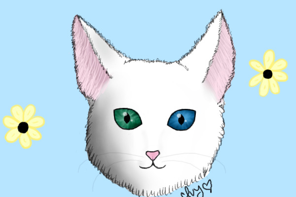 (A) White Cat fixed?? c: