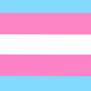 Trans pride flag pfp