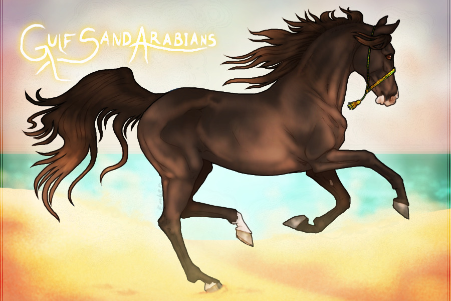 Gulf Sand Arabians AHRPG