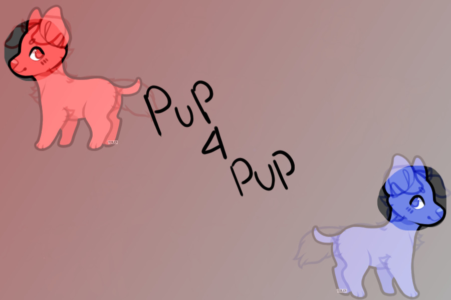 Pup 4 Pup
