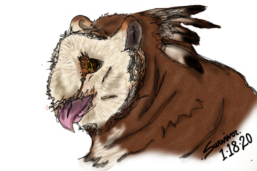Usdi Yona - Final Concept Headshot