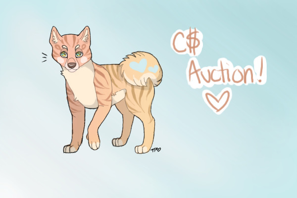 C$ Character Auction