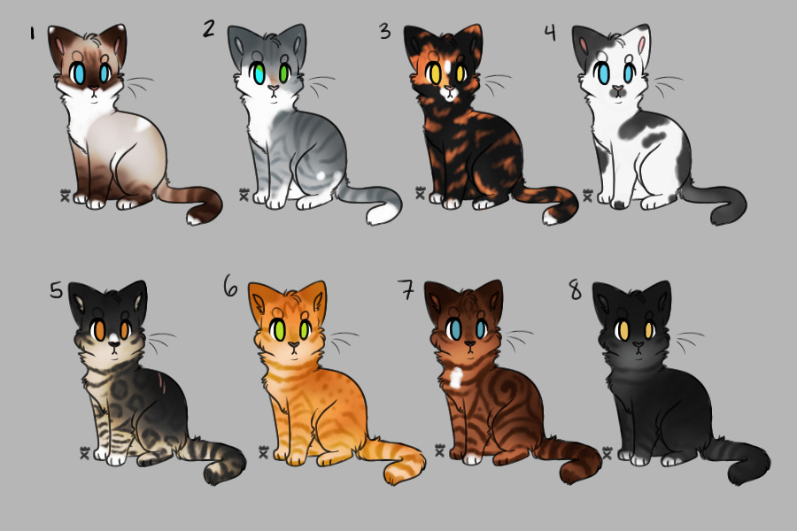 cat adopts for c$