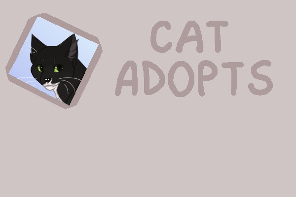 cat adopts