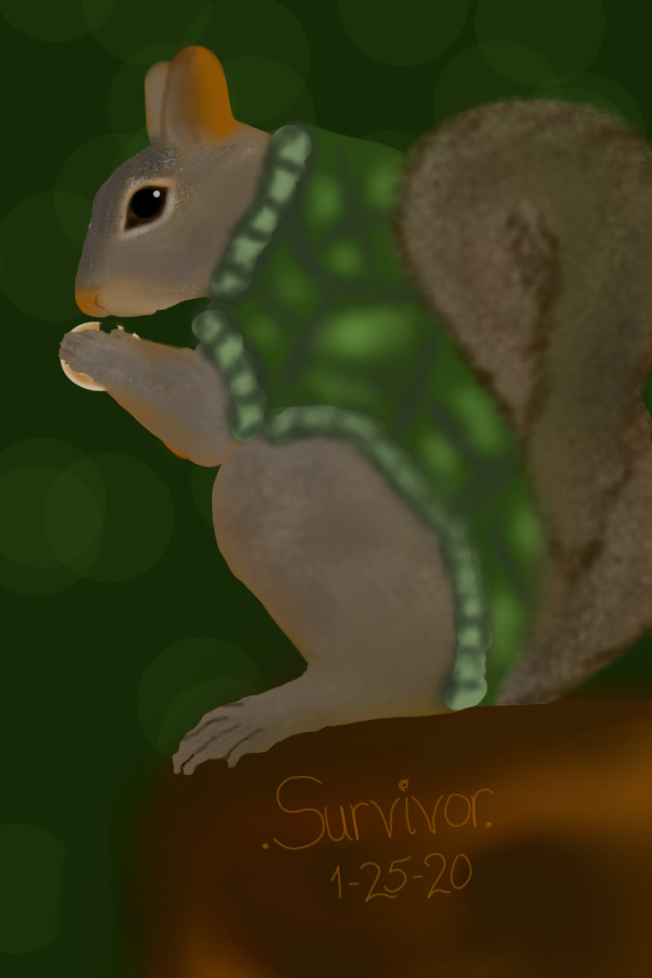 Onion Turtle Squirrel