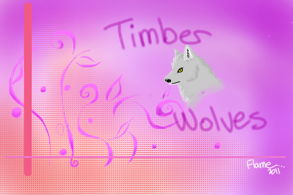 timberwolves