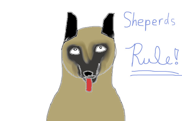 Shepherds Rule!