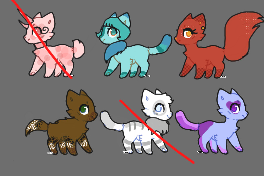 1/6 Open Kitten Adopts